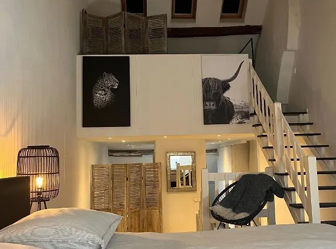 Monumentale Stadswoning In Hartje Binnenstad