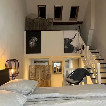 Monumentale Stadswoning In Hartje Binnenstad