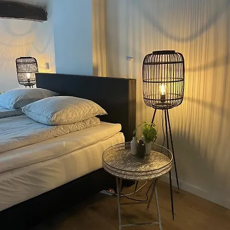 Monumentale Stadswoning In Hartje Binnenstad Feriehus *