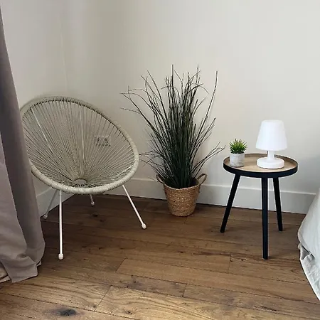 Monumentale Stadswoning In Hartje Binnenstad *